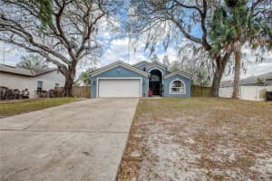 10727 DEEPBROOK DRIVE, RIVERVIEW, FL 33569 Sold 05/17/24