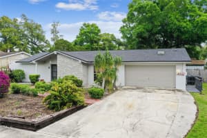 7005 PAT BOULEVARD, TAMPA, FL 33615 Sold 10/22/24