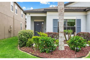 11706 ALBATROSS LANE, RIVERVIEW, FL 33569 Sold 05/06/24