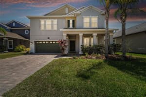19466 PADDOCK VIEW DRIVE, TAMPA, FL 33647 Sold 06/13/24