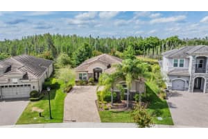 31081 CHESAPEAKE BAY DRIVE, WESLEY CHAPEL, FL 33543 Sold 10/04/24