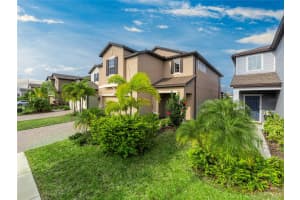 11307 GREEN HARVEST DRIVE, RIVERVIEW, FL 33578 Sold 06/28/24