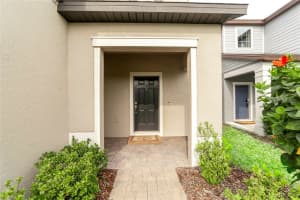 11307 GREEN HARVEST DRIVE, RIVERVIEW, FL 33578 Sold 06/28/24