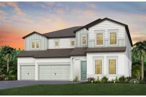 11315 OSPREY PRESERVE PLACE, RIVERVIEW, FL 33569 Sold 12/09/24
