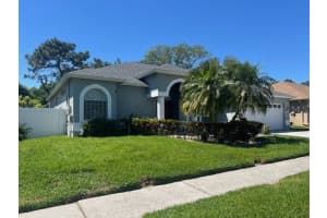 10020 COLONNADE DRIVE, TAMPA, FL 33647 Sold 05/31/24