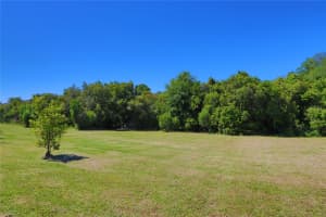 9216 EUROPEAN OLIVE WAY, RIVERVIEW, FL 33578 Sold 05/16/24
