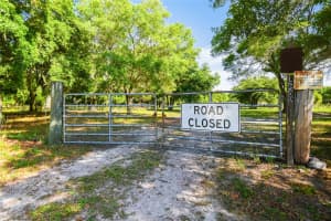 12500 HAMLIN ROAD, SPRING HILL, FL 34610 - MLS#MFRT3515077