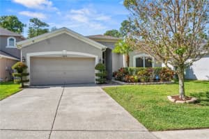 13439 STAGHORN ROAD, TAMPA, FL 33626 Sold 06/21/24