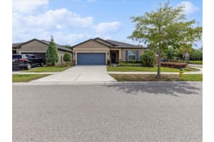 5248 FALLEN LEAF DRIVE, RIVERVIEW, FL 33578 Sold 06/21/24