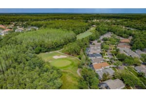 12203 GLENCLIFF CIRCLE, TAMPA, FL 33626 Sold 09/11/24
