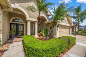 23313 GRACEWOOD CIRCLE, LAND O LAKES, FL 34639 Sold 06/06/24