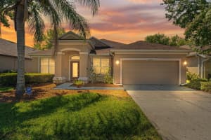 10715 DEERBERRY DRIVE, LAND O LAKES, FL 34638 Sold 05/10/24