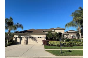 10510 PALM COVE AVENUE, TAMPA, FL 33647 Sold 05/15/24