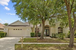 18115 PHEASANT WALK DRIVE, TAMPA, FL 33647 Sold 05/03/24
