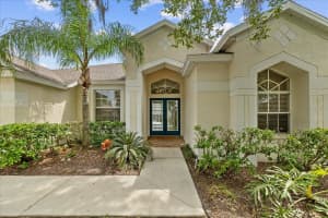 18115 PHEASANT WALK DRIVE, TAMPA, FL 33647 Sold 05/03/24