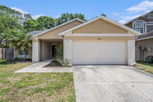 8725 HUNTFIELD STREET, TAMPA, FL 33635 - MLS#MFRT3515615