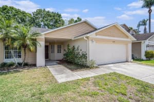 8725 HUNTFIELD STREET, TAMPA, FL 33635 - MLS#MFRT3515615