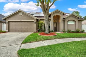 8903 HANNIGAN COURT, TAMPA, FL 33626 Sold 05/17/24