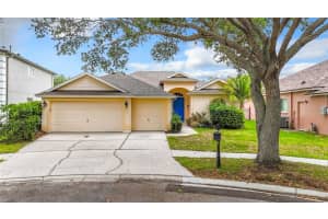 19003 FALCONS PLACE, TAMPA, FL 33647 Sold 06/28/24