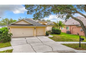 19003 FALCONS PLACE, TAMPA, FL 33647 Sold 06/28/24