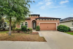 11110 SPRING POINT CIRCLE, RIVERVIEW, FL 33579 Sold 05/24/24