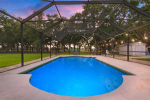 2701 MEDULLA ROAD, PLANT CITY, FL 33566 Sold 10/31/24