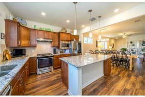 18904 COASTAL SHORE TERRACE, LAND O LAKES, FL 34638 Sold 11/26/24