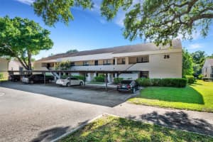 7824 NIAGARA AVENUE, TAMPA, FL 33617 Sold 12/13/24