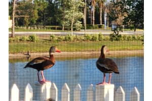 7840 TIMBERVIEW LOOP, WESLEY CHAPEL, FL 33545 Sold 09/03/24