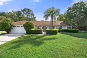 16125 Ancroft Ct, TAMPA