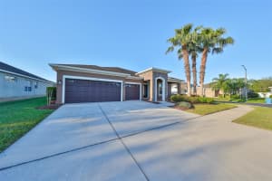 31518 BEARDED OAK DRIVE, WESLEY CHAPEL, FL 33543 Sold 05/14/24