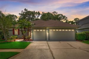 12712 TAR FLOWER DRIVE, TAMPA, FL 33626 Sold 11/08/24
