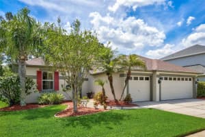 12712 TAR FLOWER DRIVE, TAMPA, FL 33626 Sold 11/08/24