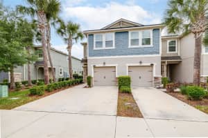 11670 CAMBIUM CROWN DRIVE, RIVERVIEW, FL 33569 Sold 06/04/24