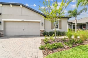 19329 HAWK VALLEY DRIVE, TAMPA, FL 33647 Sold 05/17/24