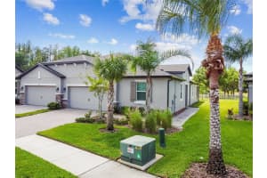 19329 HAWK VALLEY DRIVE, TAMPA, FL 33647 Sold 05/17/24