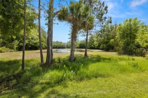 11034 WINDSOR PLACE CIRCLE, TAMPA, FL 33626 Sold 05/17/24