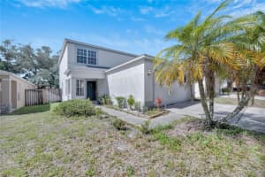 10448 BLACKMORE DRIVE, TAMPA, FL 33647 Sold 01/31/25