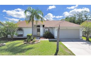 538 RAPID FALLS DRIVE, BRANDON, FL 33511 Sold 09/30/24