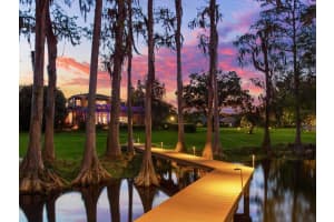 1410 LAKE PARKER DRIVE, ODESSA, FL 33556 Sold 05/13/24