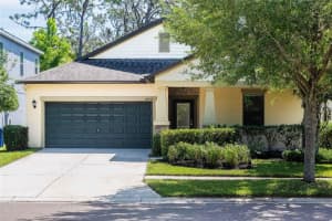 14252 BLUE DASHER DRIVE, RIVERVIEW, FL 33569 Sold 12/23/24