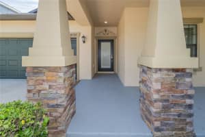 14252 BLUE DASHER DRIVE, RIVERVIEW, FL 33569 Sold 12/23/24