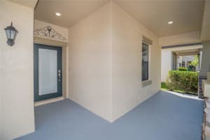 14252 BLUE DASHER DRIVE, RIVERVIEW, FL 33569 Sold 12/23/24