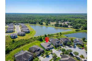 20009 PAINTING NATURE LANE, TAMPA, FL 33647 Sold 06/25/24