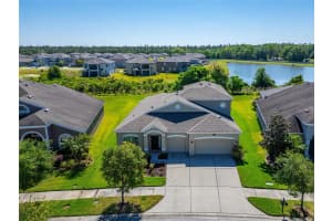 20009 PAINTING NATURE LANE, TAMPA, FL 33647 Sold 06/25/24