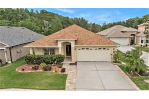 15939 POND RUSH COURT, LAND O LAKES, FL 34638 Sold 06/11/24