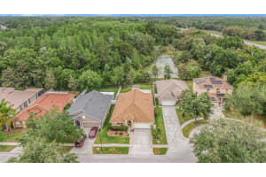 15939 POND RUSH COURT, LAND O LAKES, FL 34638 Sold 06/11/24