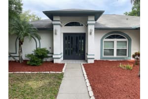 23541 FOREST VIEW DRIVE, LAND O LAKES, FL 34639 Sold 05/28/24
