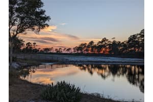 405 STACY GROVE ROAD, OAK HILL, FL 32759 Sold 10/02/25