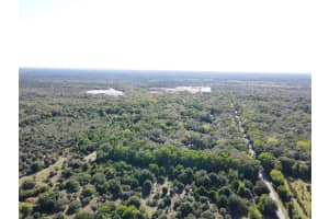 405 STACY GROVE ROAD, OAK HILL, FL 32759 Sold 10/02/25